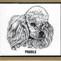 Honden