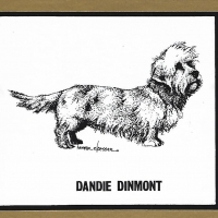 Honden