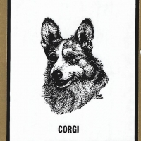 Honden
