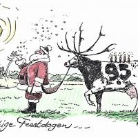 Kerstkaarten